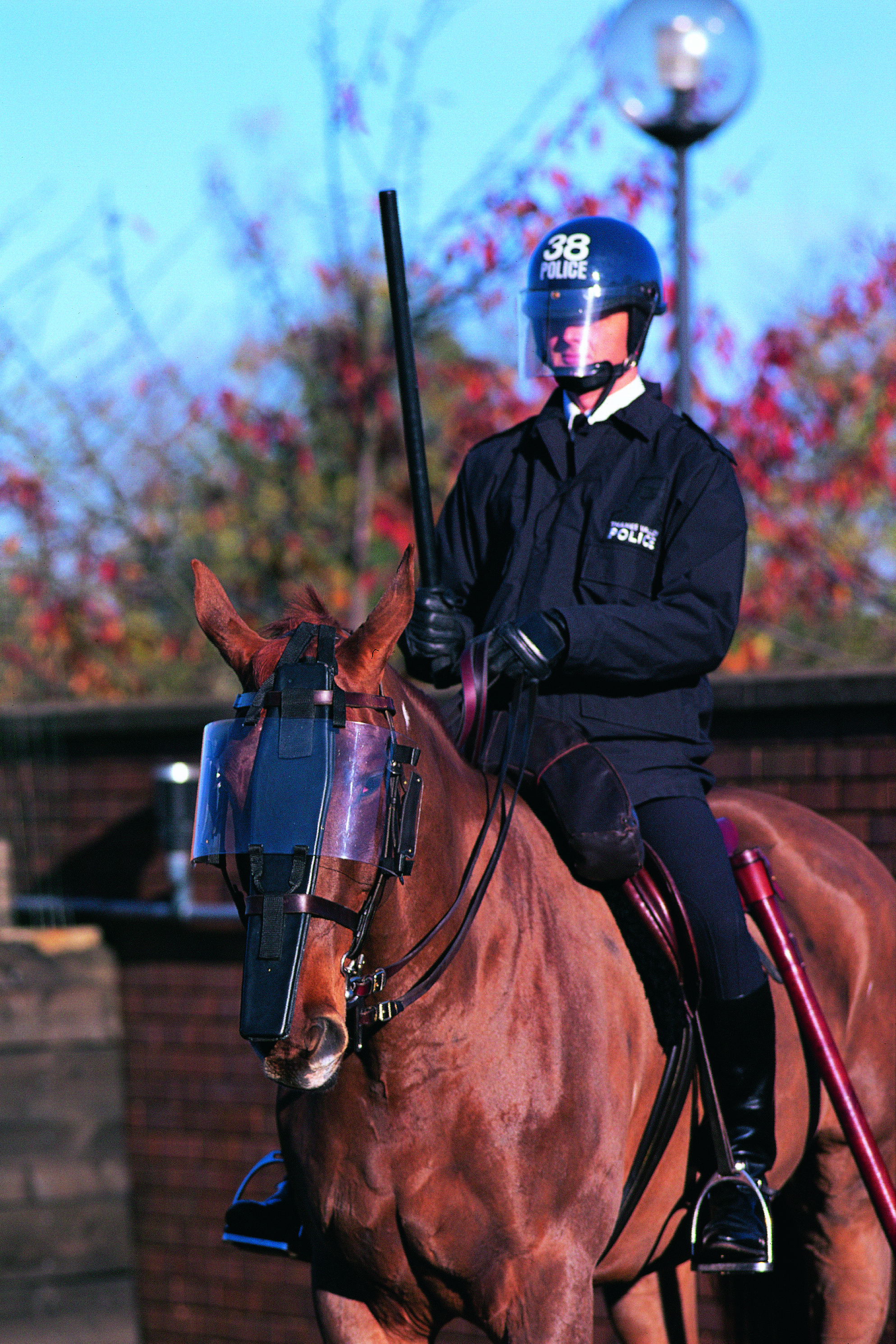 Mounted Police