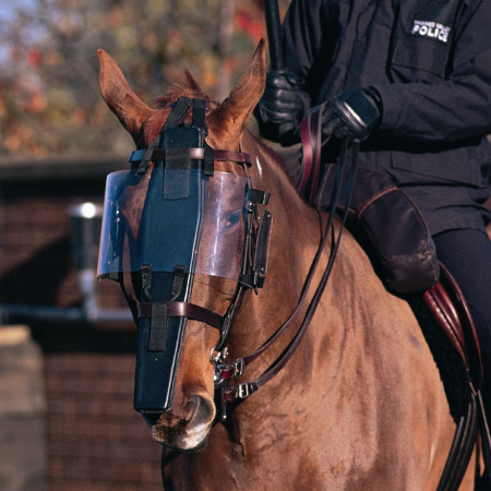 VISOR FOR POLICE HORSE