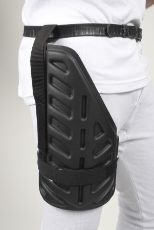 PUBLIC ORDER - THIGH GUARDS
