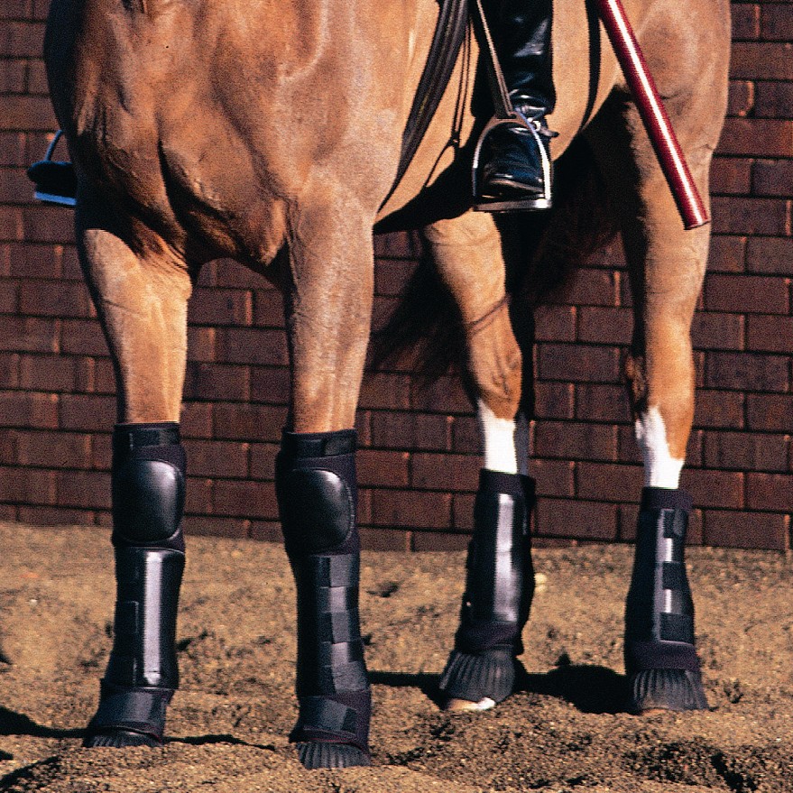 Horse Leg Protection From MLA - Horse Front Leg Protector for Enhanced  Safety and Performance
