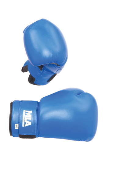 SPARRING GLOVES